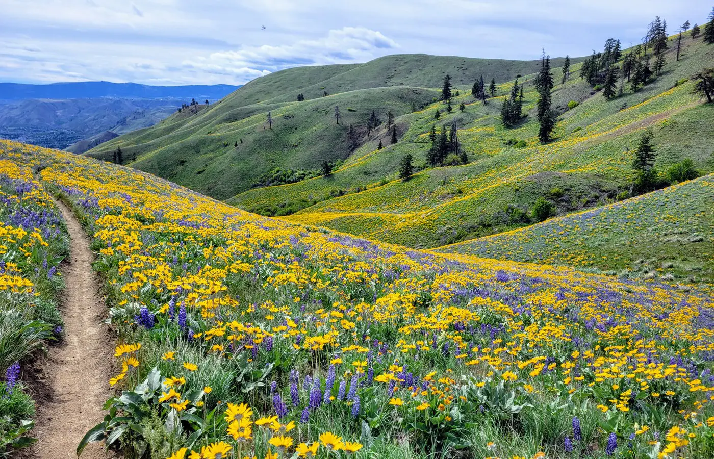 sage hills trail