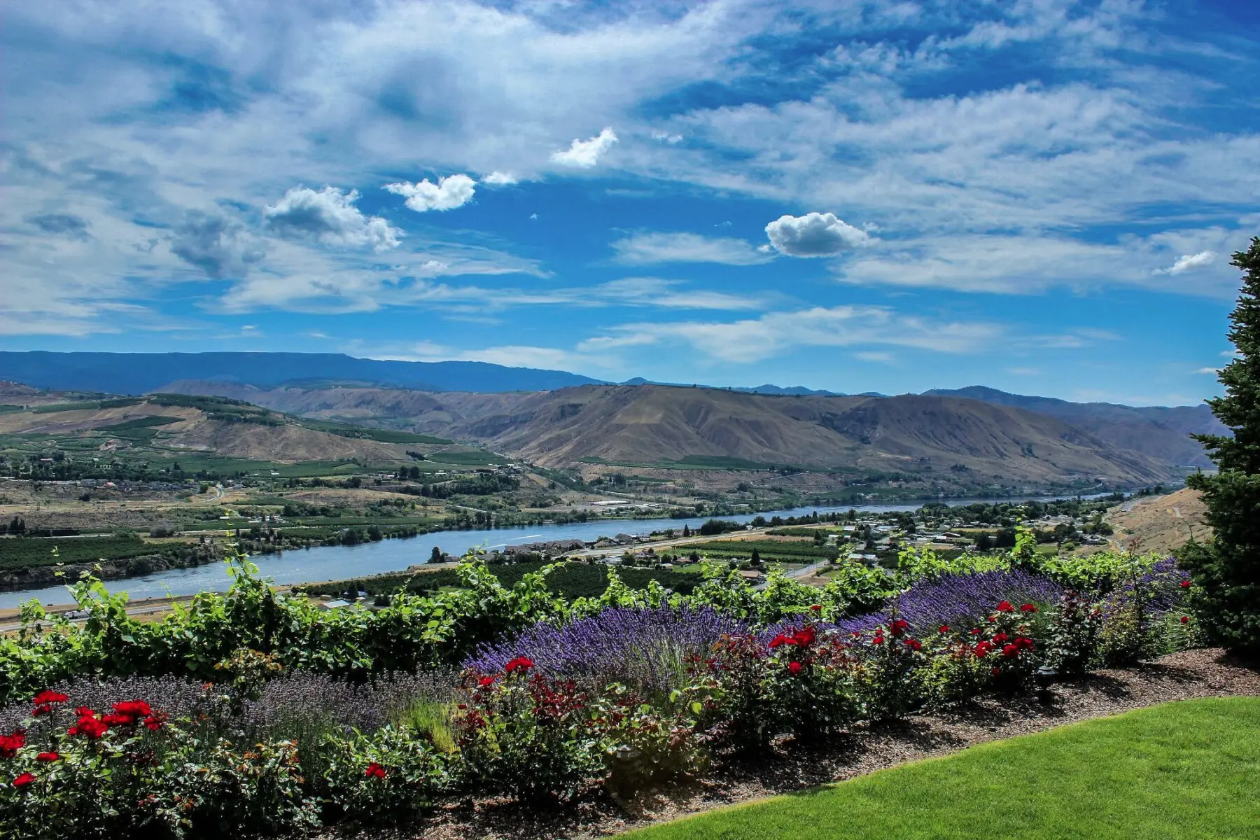 view from martin scott